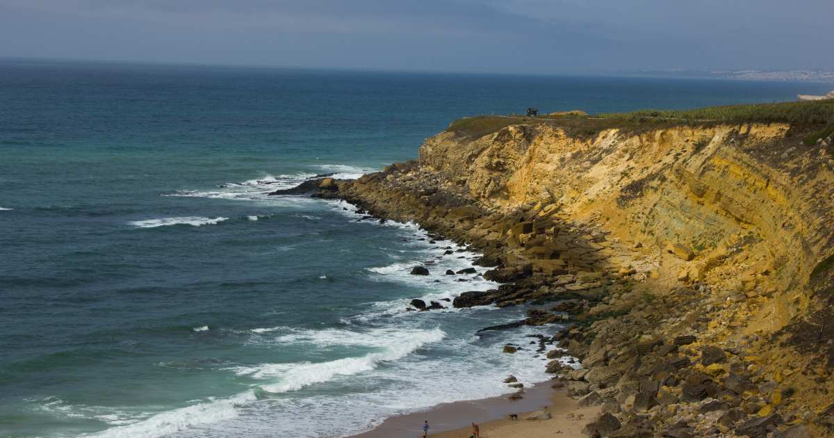 Guia da Praia Grande: Os Melhores Serviços e Lugares Pet da Cidade