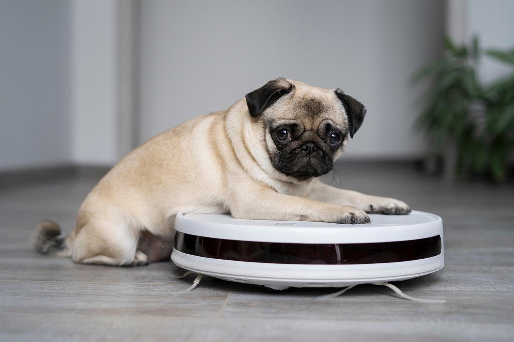 Tenho pets em casa, posso ter um aspirador robô?