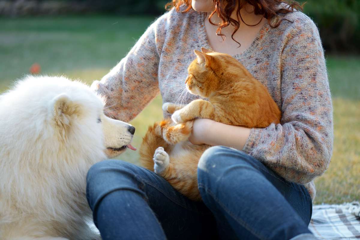 10 Erros que Tutores de Cães e Gatos Precisam Evitar