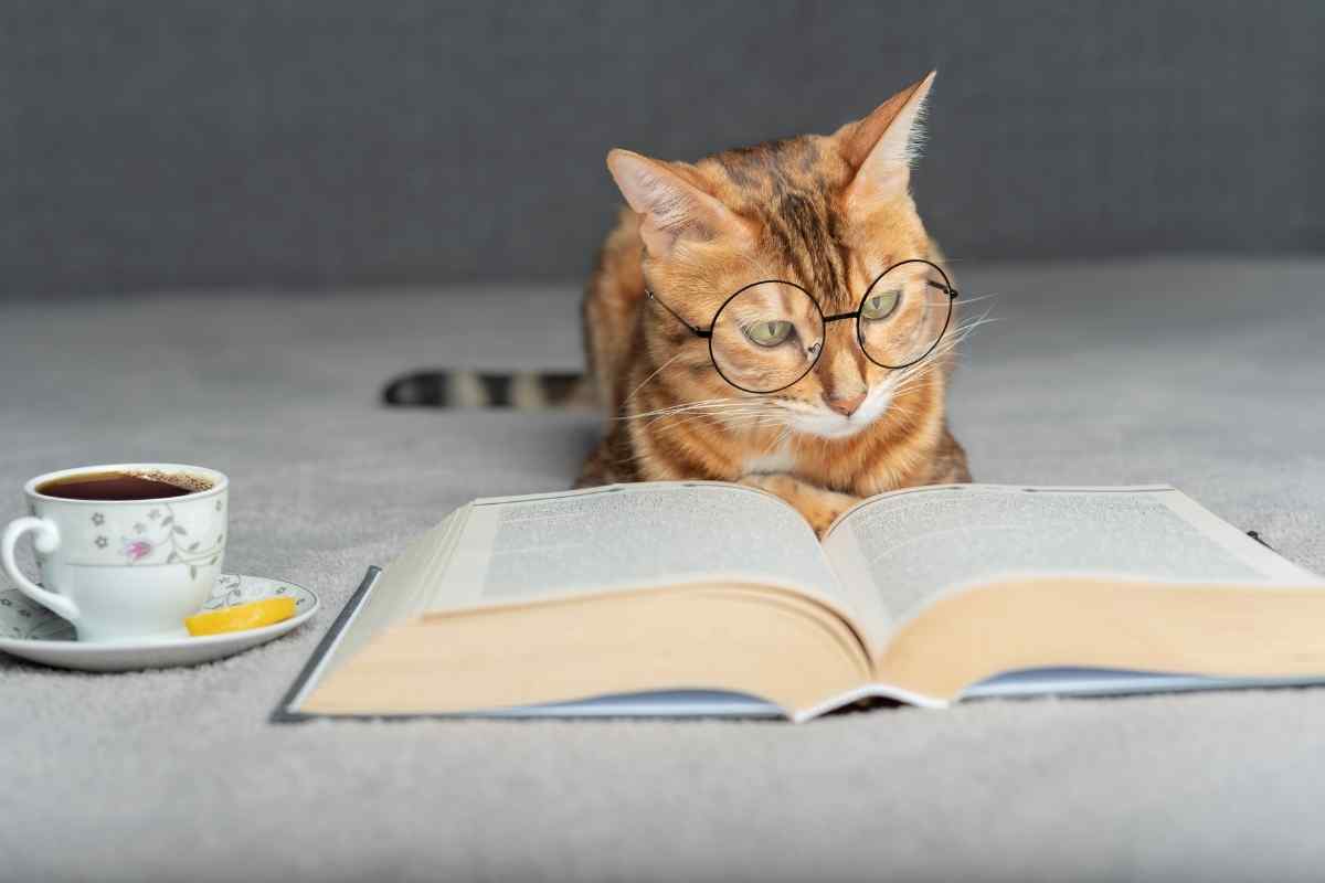 Melhores Livros Sobre Animais Que Você Precisa Ler
